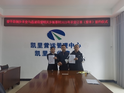 貴州高速集團交通物流集團牽線搭橋，板寨村300畝紫米簽訂單助力鄉(xiāng)村振興