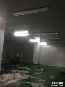 金山石化區(qū)食品廠專業(yè)凈化工程 彩鋼巖棉板隔斷、車間隔墻與工裝裝修一體化解決方案